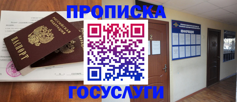 временная регистрация госуслуги в Никольском